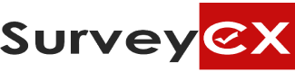 dsurveyex
